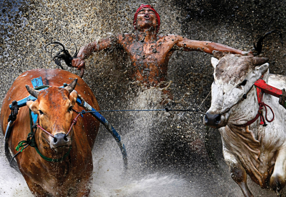 World Press Photo thumb