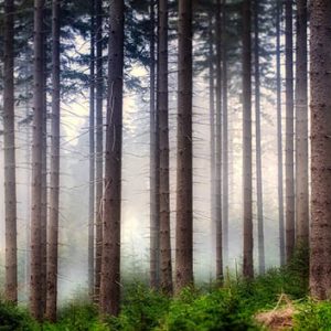 3 Sites Com Imagens Gratuitas E De Qualidade Para O Blog Influenciadores