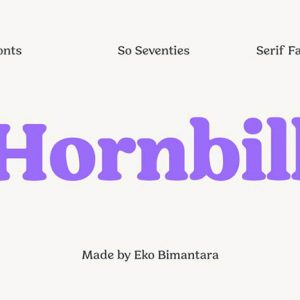 Fontes Free e Novas Sans Serif e Serif - Blog Des1gnON _ Hornbill