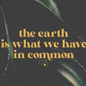 12 Melhores Fontes Free - Nebrada