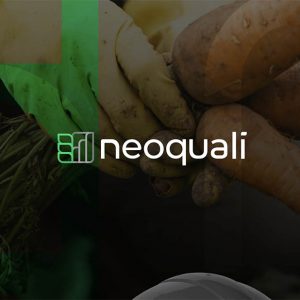 Curso Design de Marcas Pedro Panetto - Top10 - Des1gnON